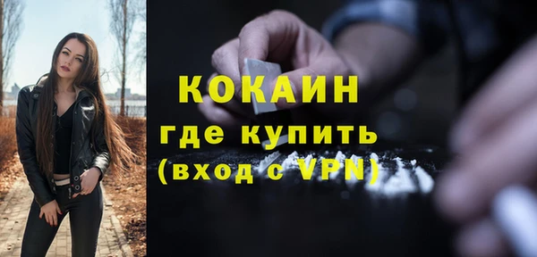 ешки Новозыбков
