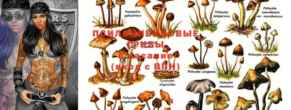 ешки Новозыбков